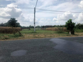 Bán cặp nền mặt tiền ĐT 852, Tân Quy Tây, TP Sa Đéc, Đồng Tháp