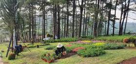 Cập nhật rổ hàng đất đầu tư quỹ đất đẹp, giá tốt, pháp lý chuẩn ngay Bảo Lộc - Bảo Lâm tháng 1.2025