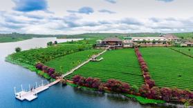 Bán đất mặt hồ Phúc Thọ - Lâm Hà - Lâm Đồng. Cơ hội đầu tư giá chân sóng!