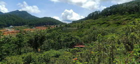 Chính chủ cần bán gấp 4007m2 đất khu Đồi Vạn Xuân, Lạc Dương View đẹp như tranh, giá chỉ 5 tỷ