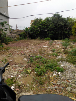 Bán lô đất biệt thự tại xã Nguyên Xá, Đông Hưng, Thái Bình 228m2 giá chỉ 11xx tr