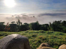 Bán vườn trái cây nghỉ dưỡng, thích hợp làm home, cafe, farm, hạ tầng đầy đủ, có tách nửa