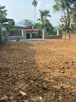 Cho thuê kho, nhà xưởng siêu rẻ tại Đường 446, Đông Xuân, Quốc Oai, Hà Nội.