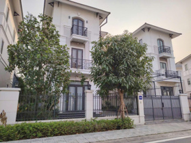 Biệt thự đơn lập 216 m2 Centa Riverside - 12 tỷ xx, sát vách Ninh Hiệp, tiềm năng tăng giá 2025