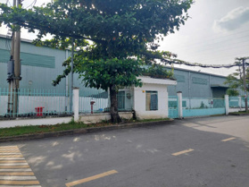 CHO THUÊ KHO XƯỞNG SỐ 3B , THẠNH MỸ LỢI, THỦ ĐỨC, HỒ CHÍ MINH