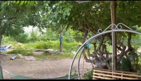 Bán 2 sổ tại Thôn 3, Hàm Đức, Hàm Thuận Bắc, Bình Thuận, 1,8 tỷ, 478 m2 hàng hiếm giá tốt