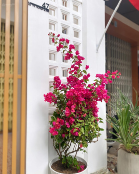 Cho thuê full mặt bằng tầng 1, diện tích 58m2, mặt tiền Lê Thị Hồng Gấm