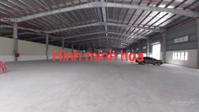 Cho thuê kho diện tích từ 5000m2 đến 10000m2, tại kiến an pccc vách tường , trạm điện công suất lớn