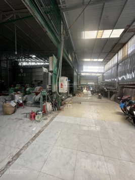 Giá siêu tốt! Gấp bán 2300m2 đất ở - Nhà và kho xưởng, DT 23x100m, Tỉnh Lộ 10, Đường 15m