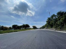 Cập nhật 10 nền đất chính chủ khu Bình Nguyên giá thật, nhà phố giá gốc CĐT xách valy vào ở ngay