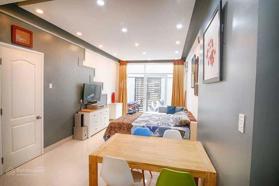 Cho thuê căn hộ studio full nội thất, trung tâm Quận 5