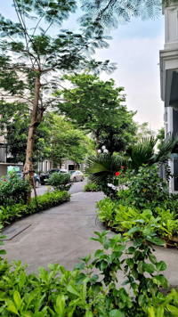 Bán nhanh căn nhà giá rẻ 104m2 - ĐN trung tâm Bãi Cháy