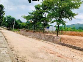 Chỉ nhỉnh 900tr có lô đất 83m2 Ngọc Thanh - Phúc Yên - Vĩnh Phúc đg oto vào tận nhà, mặt tiền rộng