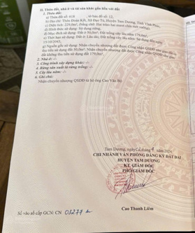 Hàng hiếm tại Đạo Tú, Tam Dương, Vĩnh Phúc, 229 m2, 2 mặt đường, giá 3 tỷ