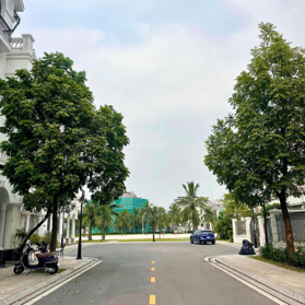 Rẻ nhất 17 tỷ biệt thự liền kề Ngọc Trai đảo lớn gần góc 70,8m2 Tây Bắc Vinhomes Ocean Park Gia Lâm