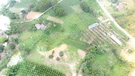 Chính chủ cần bán nhanh lô đất DT: 2858m2 sổ đỏ cầm tay ngay khu DL Đại Lải