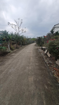 Đất An Lưu Hương An Giá Rẻ. 8xx Triệu