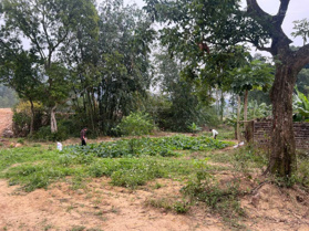 Đất nền Đại Lải - Ngọc Thanh, siêu phẩm bám mặt suối. Cạnh dự án Thung lũng - Thanh Xuân