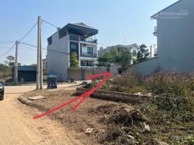 Cần tiền bán gấp lô góc hàng hiếm TDC 60m2 giá nhỉnh 1 tỷ ở Hòa Lạc sau tòa nhà Phenika