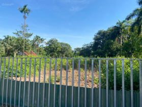 Chính chủ gửi bán lô đất 3838m2 Bám Trục đường Chính Xã Nhuận Trạch Đối diện khu công nghiệp