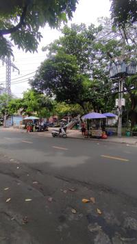 Tôi chính chủ bán nhà mặt tiền, đối diện công viên, 59 Phan Đình Phùng, Tân Thành, Quận Tân Phú