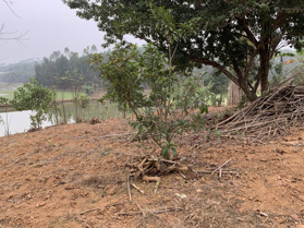 Cần bán 3439m2 đất thổ cư +CLN sẵn sổ tại Đồng Lương -Cẩm Khê -Phú Thọ .Mặt tiền 60m.Lh:0977 040 636