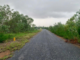 Bán lô đất trồng cây ven biển (DT: 2400m2) cách KDC Tân Định & bãi tắm Hải Ninh 1km. Giá: 500 triệu