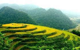 Bán trang trại nghỉ dưỡng ở Xã Yên Hoà, Đà Bắc, Hòa Bình, 70 nghìn / m2, 45000 m2