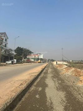 Đất đấu giá Đồng Cúp - Hoàng Lâu - Tam Dương - Vĩnh Phúc, khởi điểm 18 tr/m2, ĐT 0936 825 487