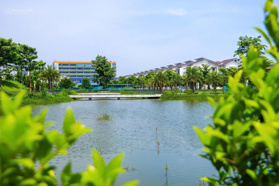47 tỷ là cái giá phải trả cho căn biệt thự tại Việt Hưng cách em chỉ 10 phút di chuyển