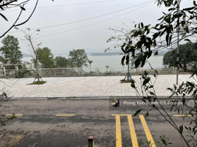 Bán đất thương mại dịch vụ số lâu dài mặt hồ Đại Lải 1250m2 mặt tiền 25m