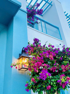 Bán lỗ biệt thự 160m2 Novaworld Phan Thiết kèm toàn bộ nội thất 1,5 tỷ. Đối diện Clubhouse. 5,x tỷ