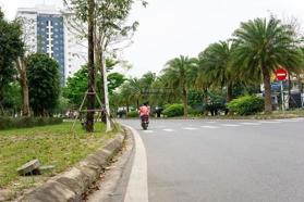 Liền kề - biệt thự Thanh Hà giá gốc từ chủ đầu tư, LH: 0981 391 096