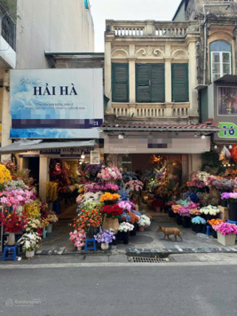 Gấp! Cần thanh khoản trước tết nhà phố cổ Hàng Cá - 70m2 sổ nở hậu đẹp - kinh doanh đỉnh, chỉ 39tỷ