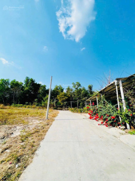 Chính chủ cần bán gấp lô đất tại Minh Hưng, Chơn Thành, ngộp bank