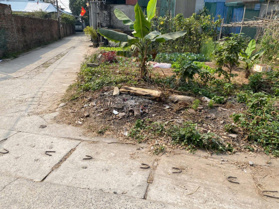 Bán đất Hiệp Thuận, 4,3 tỷ, 86m2, mặt tiền 11.5m