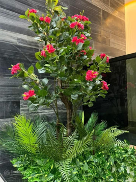 Nhà mới 3 tầng, Hoà Minh, 6.25 tỷ
