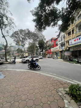 Bán Biệt thự phân lô KĐT Bắc Linh Đàm .Lô góc,2 mặt tiền,vỉa hè,kinh doanh,nhỉnh 3X Tỷ