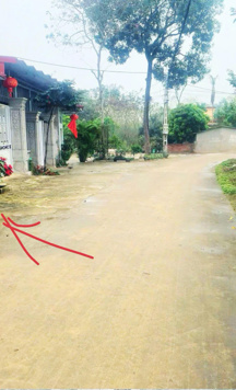 Đường 2 xe buýt tránh nhau, chuẩn bị đón siêu sóng 3 khu công nghiệp chỉ chưa đến 1 tỷ in Bắc Giang