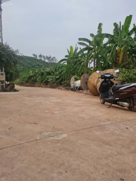 Bán đất phường Trù Hựu, Thị Xã Trũ, Tỉnh Bắc Giang. 3714m2 - mặt tiền 85m. Đường 6m. Giá 2.1 tỷ