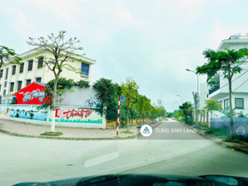 Bán lô đất biệt thự 313,5m2 phố Ngô Hùng, Thành Tô, Hải An