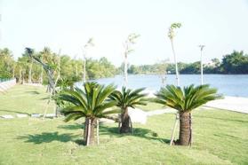 Bán lô biệt thự mặt tiền Sông Phước Giang KDC An Lộc Phát, 205m2(10x20.5m) hướng Nam, sổ hồng riêng