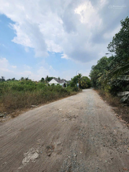 Lô đất rẻ đẹp Bùi Công Trừng, Xã Nhị Bình, Hóc Môn; Đường xe tải lớn; Thích hợp mua làm kho xưởng