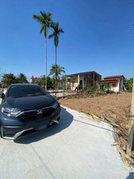 Nhà vườn Kiến Thuỵ 1200 m trong đó 181 m đất bìa