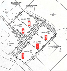 Bán đất Ngõ 8 Bãi Muối, P. Cao Thắng. DT: 65m2 - 72.6m2 - 84m2. Oto đỗ cửa