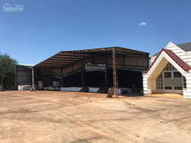 Chính chủ bán nhà máy chế biến mủ cao su Giang Sơn, 24.000m2, đang hoạt động tốt, pháp lý rõ ràng