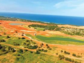 Đất hecta mặt tiền đường 719B, gần biển, Novaworld mặt tiền đường rộng giá siêu tốt