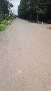 Chính chủ cần bán lô đất DT 25x42m (1250m2) sổ hồng sẵn đường nhựa ngay KCN Becamex LH 0979 179 750