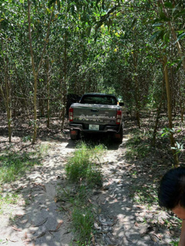 Chủ cần bán 8.2 sào 2 MT Sơn Mỹ, Hàm Tân, Bình Thuận, 2.5 tỷ. LH: 0916 038 781