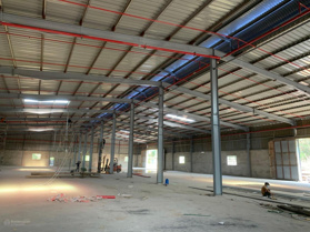 Cho thuê nhà xưởng đẹp. Giá thuê rẻ. PCCC tự động. Khuôn viên dùng riêng